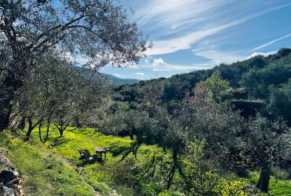 فيلا Almond Hill House أورخيفا المظهر الخارجي الصورة