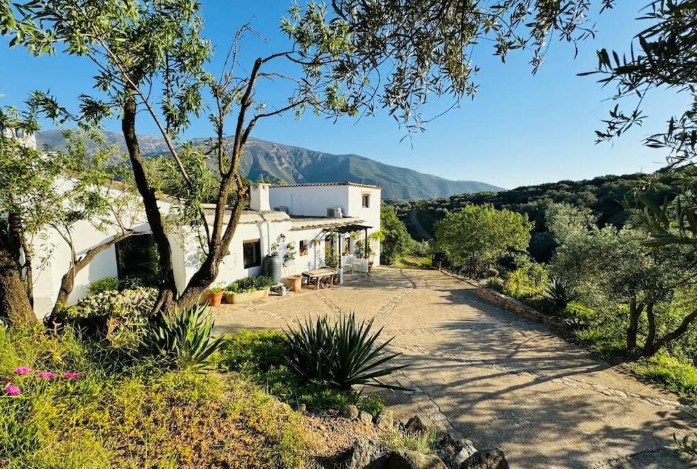 فيلا Almond Hill House أورخيفا المظهر الخارجي الصورة