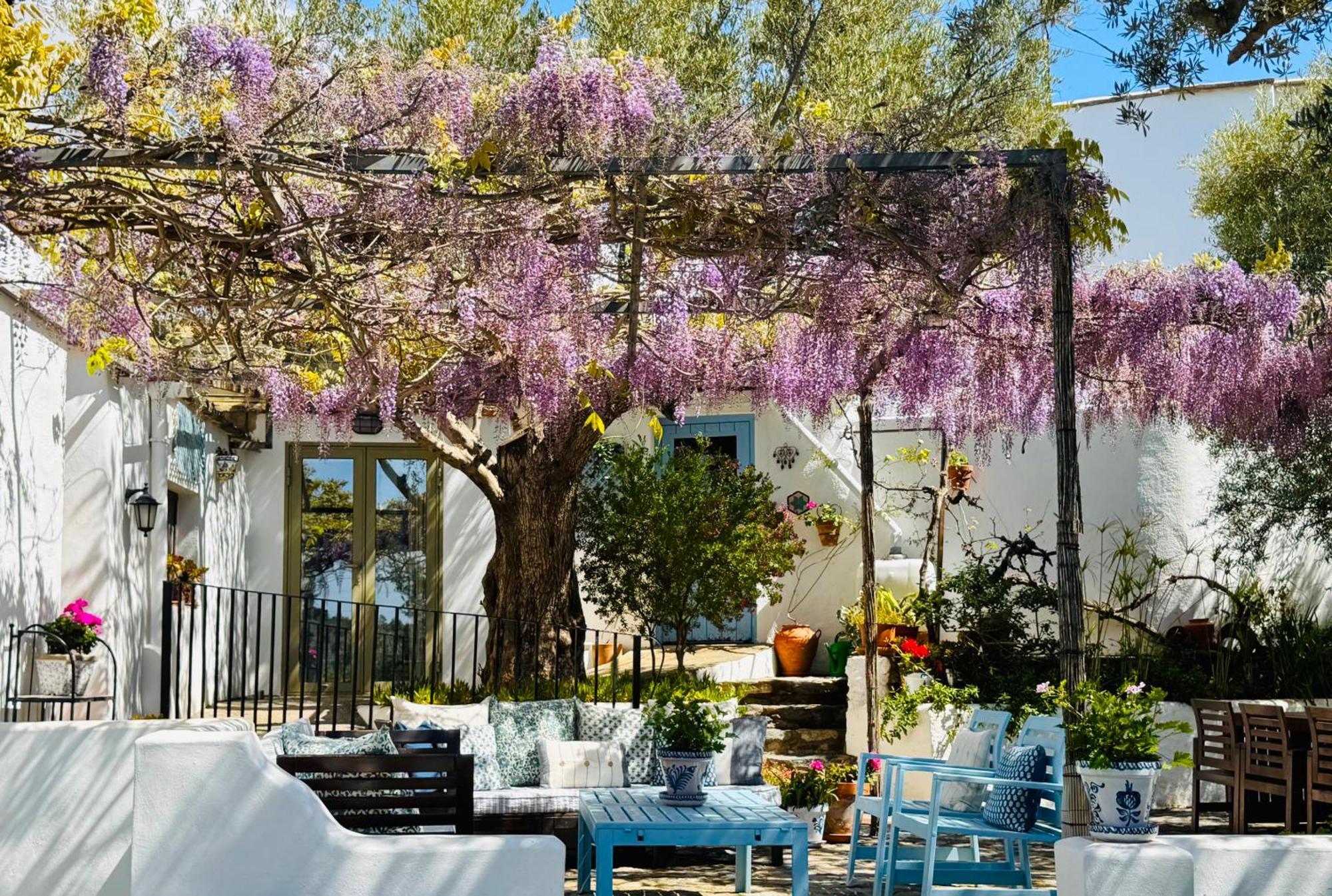 فيلا Almond Hill House أورخيفا المظهر الخارجي الصورة